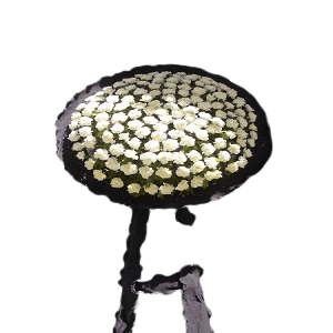 Halkalı Beyaz Karanfil Cenaze Çelenk