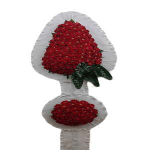 Kırmızı Gerbera Çelenk